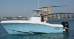 typhoon_links