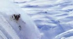 Skiing Gallery