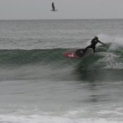 darian-boyle-sea-girt-nj_0